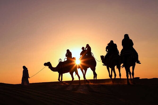 Morning Desert Safari with Quad Bike, Camel Ride & Sandboarding - The camel ride slows the pace