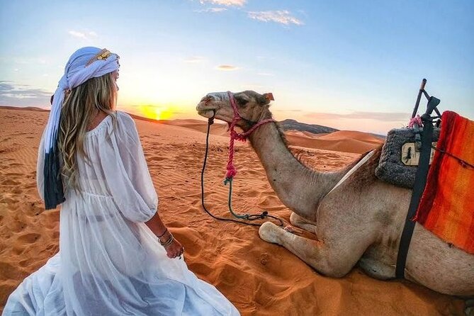 Morning Desert Safari with Quad Bike, Camel Ride & Sandboarding - Quad biking gives you a taste of desert driving