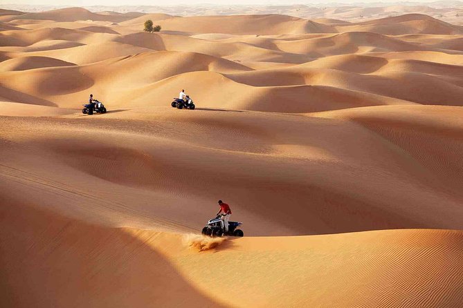 Morning Desert Safari with Quad Bike Tour Abu Dhabi - How the $101.60 price measures up