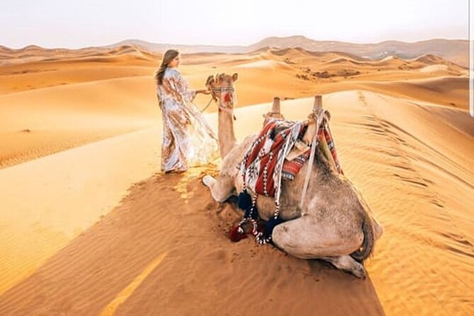 Morning Desert Safari With Quad Biking and Sandboarding - Why a Sunrise Safari Beats a Midday Desert Trip