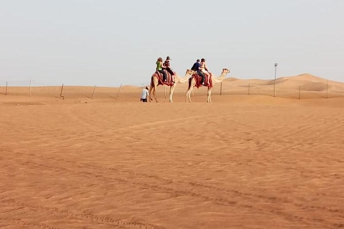 Morning Desert Safari With Quad Biking, Camel Riding and Dune Bashing - Key points to know before booking