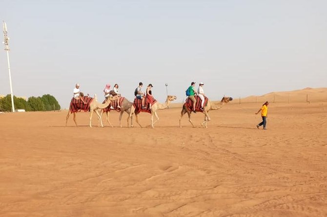 Morning Desert Safari With Quad Biking, Camel Riding and Dune Bashing - Who will enjoy this four-hour desert safari?