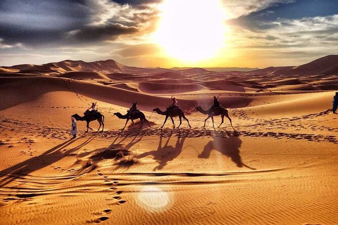 Morning Desert Safari with Sand Boarding and Dune bashing - Why a morning safari works so well