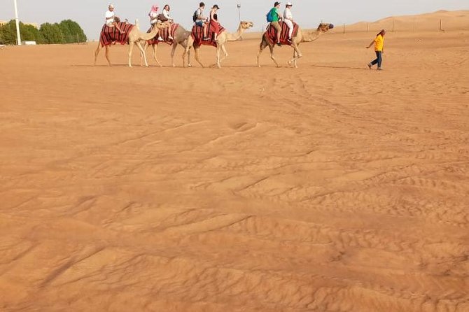Morning Desert Safari with Sand Boarding and Dune bashing - A camel ride with time for photos