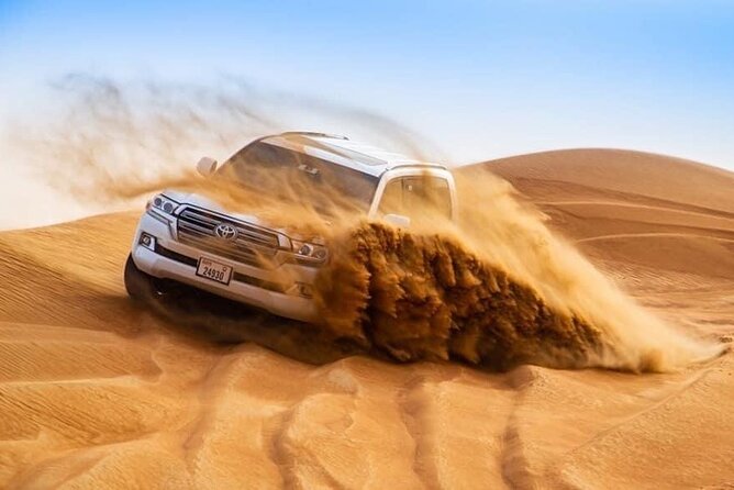 Morning Desert Safari with Sandboarding & Camel Ride on Red Dunes - The Camel Ride, Falcon Photo, and Camel Farm Walk
