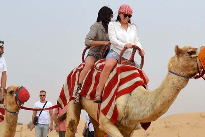 Morning Desert Thrill: Dune Bashing, 30min Quad Bike & Camel Ride - Who will get the best value from $65?