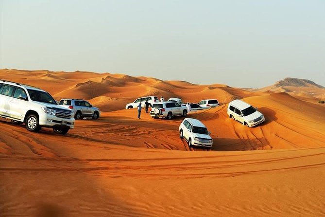 Morning Desert Thrill: Quad Bike Safari Escape - Who will enjoy this safari most