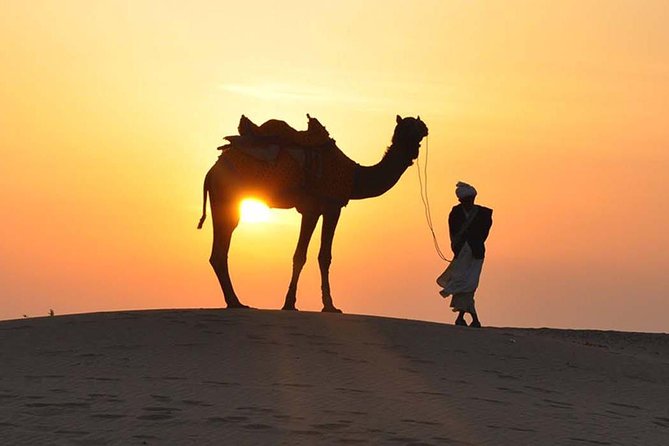 Morning Dune Bashing, Including Camel Riding and Sand Boarding from Dubai - Quick takeaways