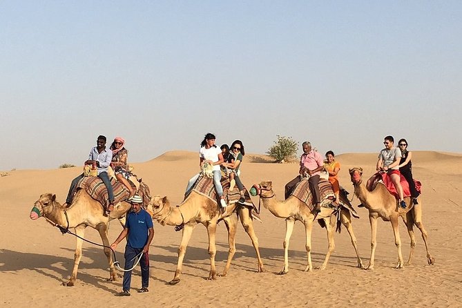 Morning Dune Bashing, Including Camel Riding and Sand Boarding from Dubai - Camel riding offers a slower contrast