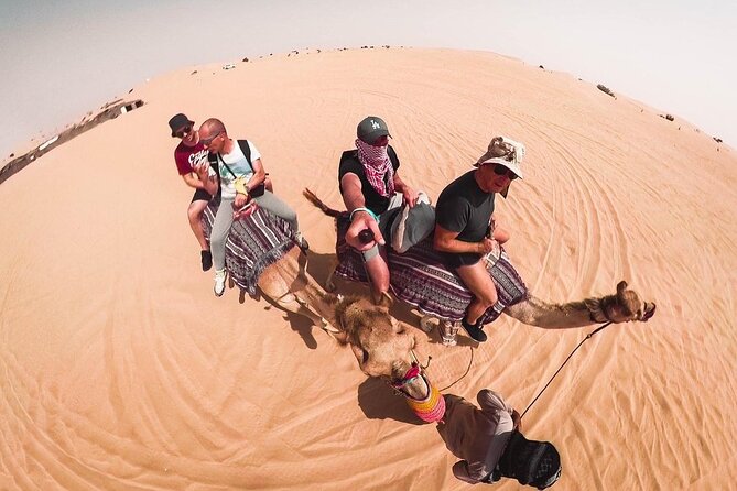 Morning Dune Bashing, Including Camel Riding and Sand Boarding from Dubai - Sand boarding adds a low-cost thrill