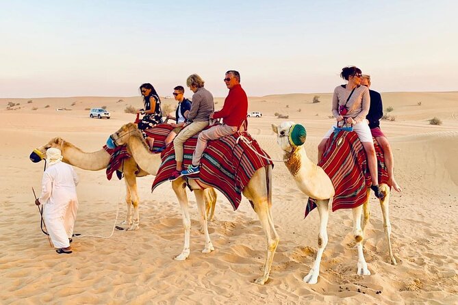Morning Dune Bashing with Camel Trekking and sand boarding - The 20-minute camel trek