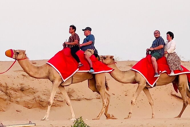 Morning/Evening 4x4 Desert Safari, CamelRide & Sandboarding - Sandboarding on the high dunes