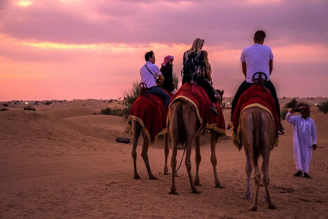 Morning Quad Biking & Red Sand Desert Safari , Camel Ride, Sand Boarding - Group size, comfort, and who will enjoy it