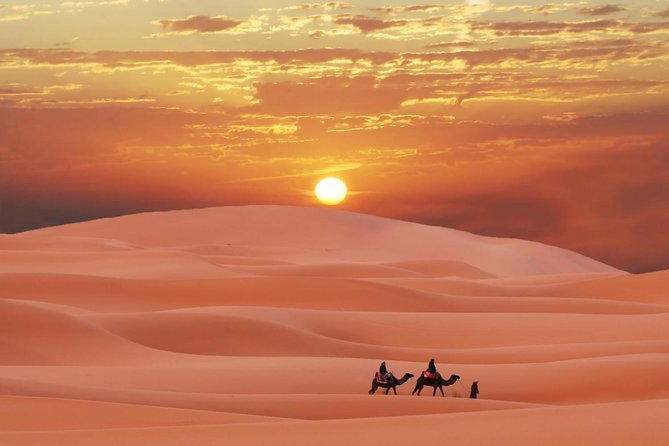 Morning Red Dunes Safari: Camel Ride & Sandboarding Adventure - Sandboarding on a tall dune