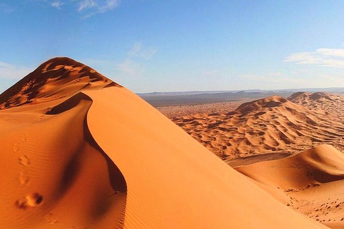 Morning Red Dunes Safari: Camel Ride & Sandboarding Adventure - Forty minutes of dune bashing in the red sand