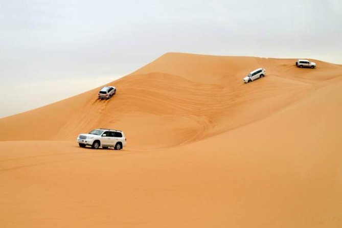 Morning Safari With Camel Ride - Key points at a glance