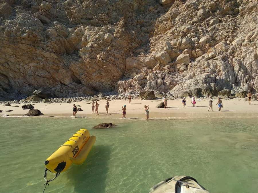 Mystic Musandam Full-Day Sea Safari - Key points to know before booking