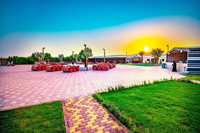 Premium Desert Safari Sharing Transfer with 5<em> Unlimited Buffet – Key points to know before booking’ /></p>
<ul>
<li><strong>Red dunes near Al Lahbab:</strong> The main thrill is a 25 to 30 minute 4×4 ride across naturally formed red sand.</li>
<li><strong>Shared Land Cruiser transport:</strong> Each vehicle holds up to six people, and seat assignments follow the pickup route rather than personal preference.</li>
<li><strong>Short camel ride included:</strong> You receive a free ride, but longer rides may cost extra.</li>
<li><strong>Buffet dinner with six advertised shows:</strong> Arabic and international food is served at the camp, with entertainment including Tanoura, fire performances, and belly dancing when available.</li>
<li><strong>Sunset is part of the plan:</strong> The exact timing depends on hotel pickups and road traffic, so the schedule can shift.</li>
<li><strong>Good value at $70:</strong> The package covers transport, activities, food, drinks, and shows, but quad biking, shisha, alcohol, and table service cost extra or are not included.</li>
</ul>
<h2>The red dunes are the reason to go</h2>
<p><img width="669" height="446" decoding="async" src=