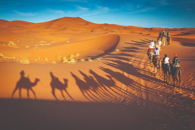 Premium Desert Safari with BBQ Dinner - Dubai - Arriving at the camp with Arabic coffee and dates