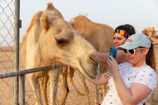 Premium Dubai Desert Safari with BBQ Dinner in the Red Dunes - What $49 really gets you