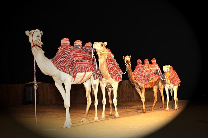 Premium Private Desert Safari with Camel Ride & Live BBQ Dinner - The 4WD ride across the red dunes