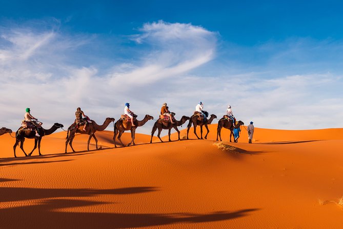 Private Abu Dhabi Evening Desert Safari (Exclusive) - Belly dancing, Tanoura, and Yola performances