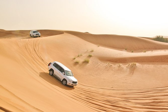 Private Abu Dhabi Evening Desert Safari (Exclusive) - Falcon photos and the limits of the package