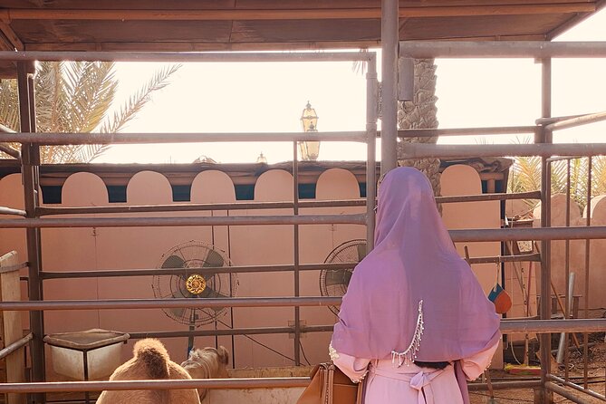 Private - Abu Dhabi Half Day City Tour - Heritage Village puts the modern skyline in context