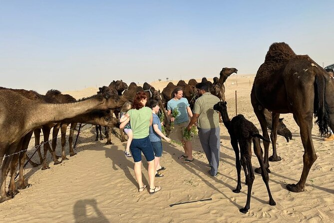Private Abu Dhabi Sunset Desert Safari with Sand Boarding - Leaving Abu Dhabi in an air-conditioned 4x4