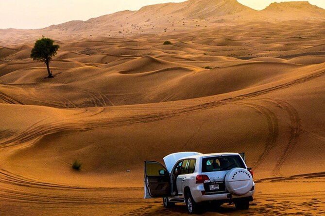 Private Desert Excursion with camel ride Sandboard & BBQ Dinner - From Desert Adventure to Al Awir Dinner