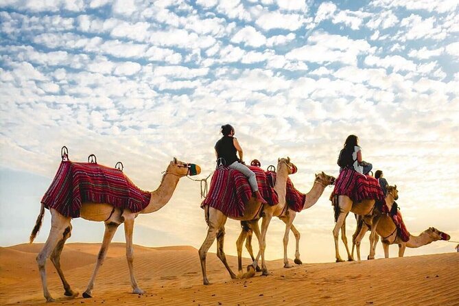 Private Desert Excursion with camel ride Sandboard & BBQ Dinner - What the Private Price Really Buys
