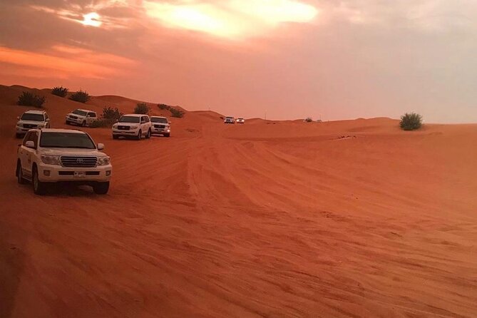 Private Desert Excursion with camel ride Sandboard & BBQ Dinner - Who Will Enjoy This Safari Most