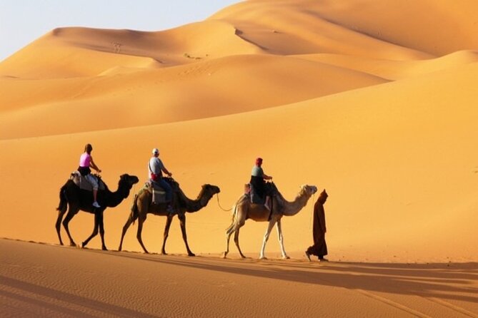 Private Desert Safari in Dubai with Pickup - A private start from Dubai