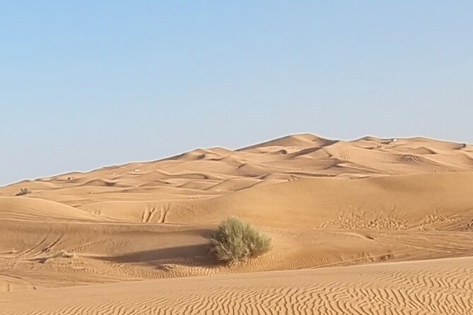 Private Desert Safari in Dubai with Pickup - What the $199.56 price means