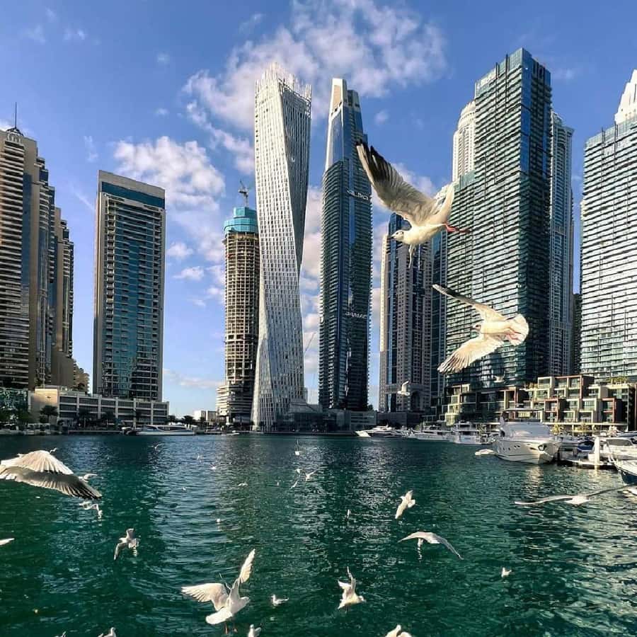 Private Dubai city tour fullday Guided Tour - Downtown Dubai, Dubai Mall, and Burj Khalifa