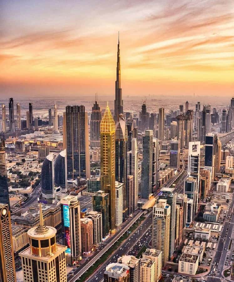 Private Dubai CityTour with Miracle Garden or Global Village - Marina Walk, JBR, and Bluewaters Island