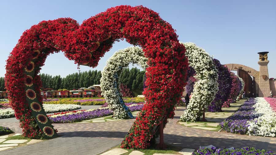 Private Dubai Frame & Miracle Garden Trip with Transfer - Who Will Get the Most from This Tour