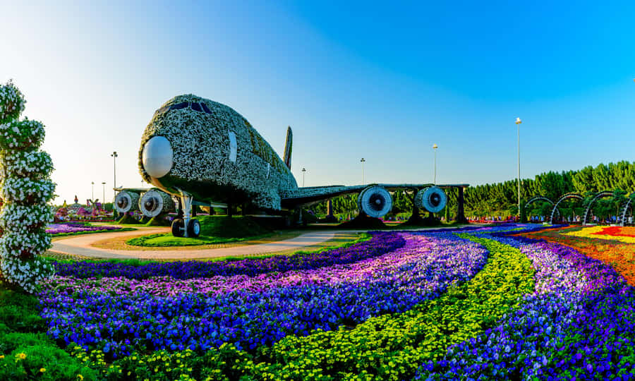 Private Dubai Frame & Miracle Garden Trip with Transfer - Timing, Tickets, and Simple Preparation