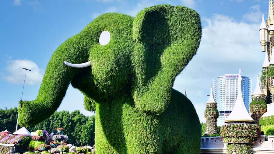 Private Dubai Frame & Miracle Garden Trip with Transfer - FAQ