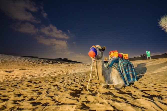 Private Evening Desert Safari with BBQ Dinner Dubai - A short camel ride and a slower camp arrival