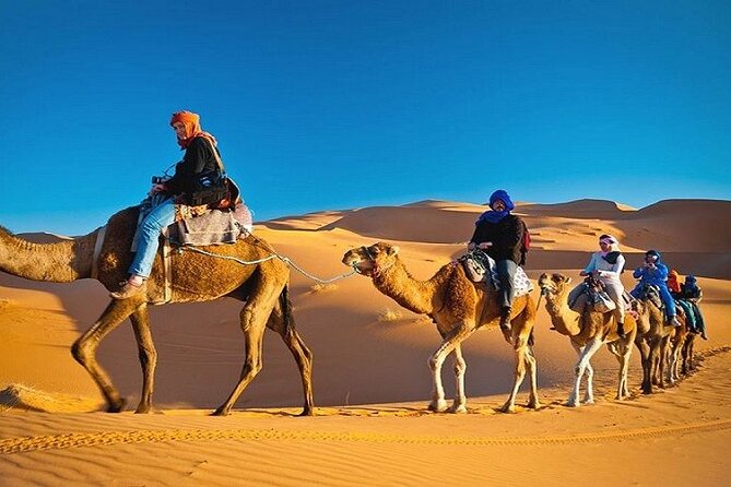Private Evening Desert Safari with BBQ Dinner Dubai - What the $412 private price really means