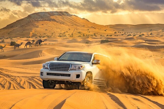 Private Evening Desert Safari with BBQ Dinner Dubai - Who will enjoy this desert evening most