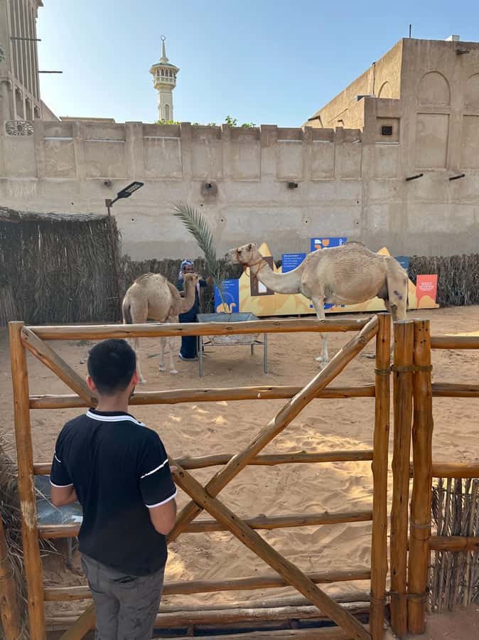 Private Food Tour – 12 Tastings with Locals - Twelve tastings, from dates to camel milk chocolate