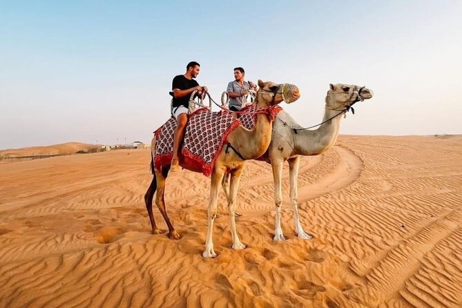 Private Morning Desert Safari Dune Bashing and Short Camel Ride - Price, timing, and who gets good value