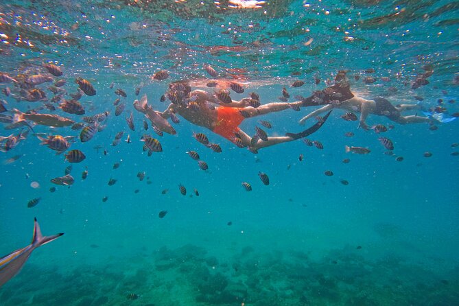 Private Snorkeling with turtles with BBQ food - The boat setting and onboard comforts