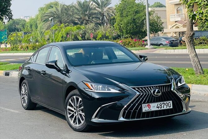 Private Transfer - Airport | Hotels | Port | City - Abu Dhabi - A direct ride across Abu Dhabi