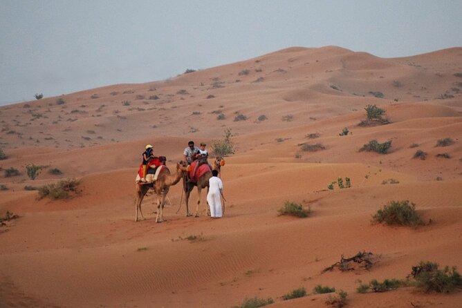 RAK Desert Safari and BBQ Dinner with RAK pick up - Thirty minutes of 4WD dune bashing