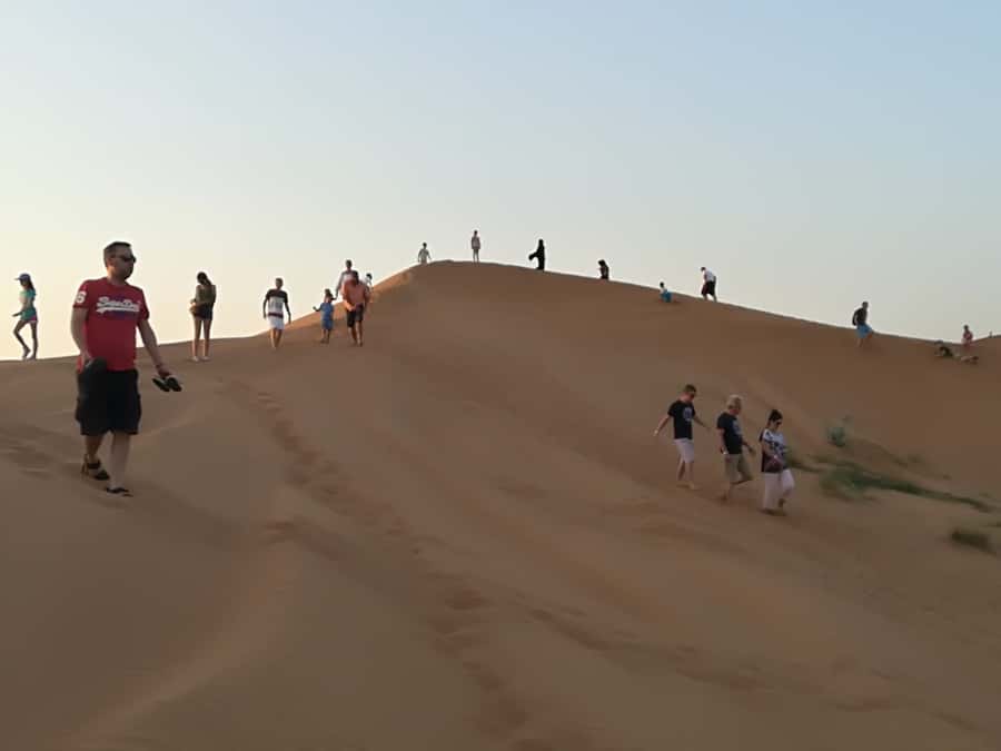 Ras Al Khaimah: Half-Day Desert Safari with Dinner - A desert afternoon with a lively finish