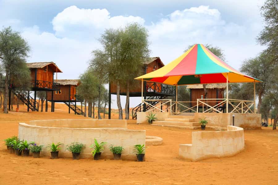 Ras Al Khaimah: Half-Day Desert Safari with Dinner - Dinner, drinks and the campfire program