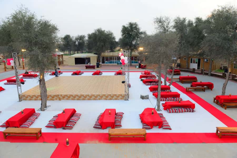 Ras Al Khaimah: Half-Day Desert Safari with Dinner - Who will enjoy this safari most